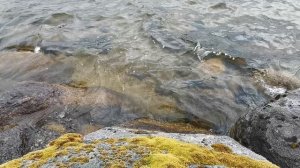 Отдыхаем на рыбалке 2022-07-16