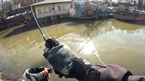 Мормышинг. Весенний судак