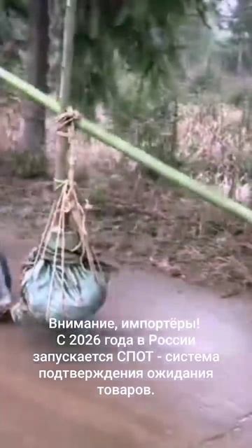 ИМПОРТ из ЕАЭС. СПОТ с 1 апреля 2026 года.