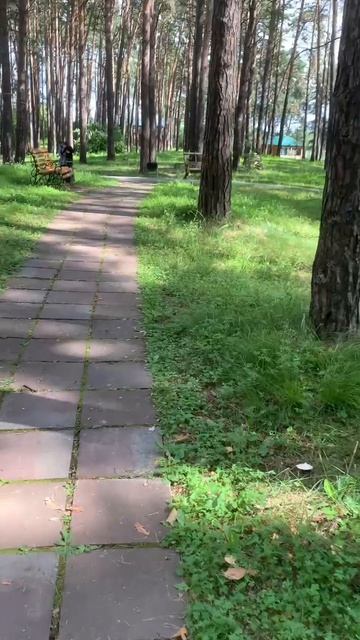 Стихотворение «Без Бога ждёт нас смерть души»