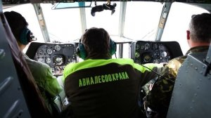 15-ти секундный видеоролик_О сбережении лесных ресурсов России