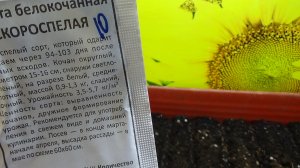 ПОСЕВЫ 2026-98. Сегодня, 23 марта посеяла капусту для получения раннего урожая.