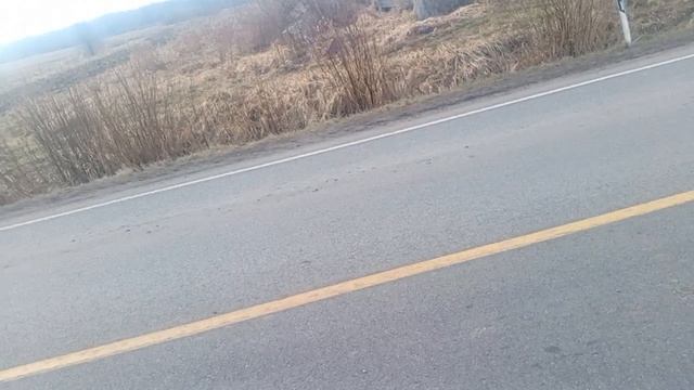 дгш 10 сезон 3 серия: запретка