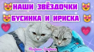 😻 Бусинка и Ириска 😻 Наши любимые девочки ❤️