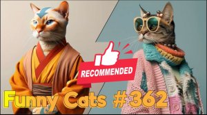 Смешные коты #362