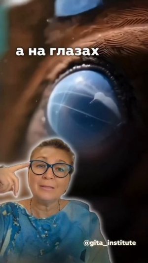 Все уже придумали