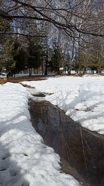 В Сибири заплакали сугробы.