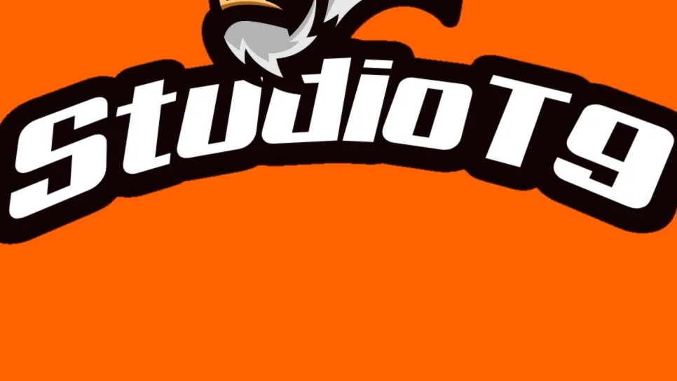 что было на стриме???