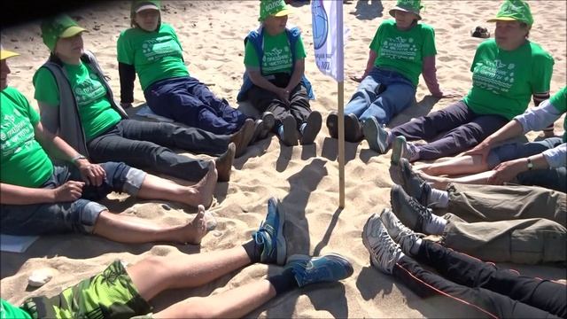 Неугомонные нерпы