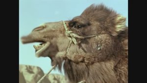 Ложись кому говорят! Фрагменты из фильма ″Джентльмены удачи″. 1971 г.