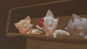 Le petit chat a sauté sur la poubelle  Le matou  Chanson pour Enfants | HeyKids en Français