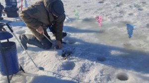 поимки форели