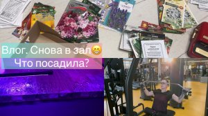 Влог. Наши три дня. Возвращаюсь в строй❤️