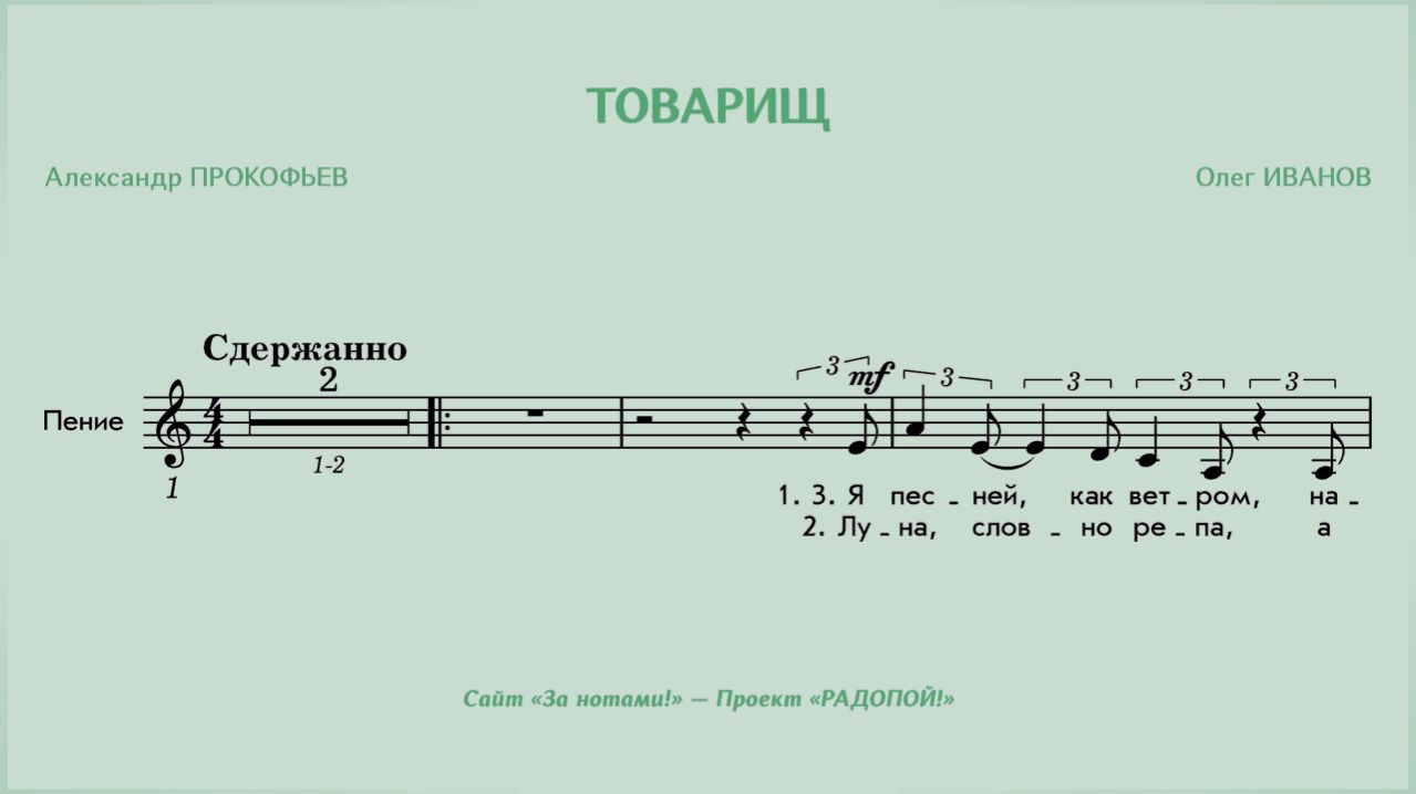 РАДОПОЙ! — Товарищ