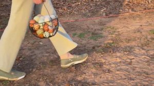 Строим новый курятник. ASMR.  Эгине