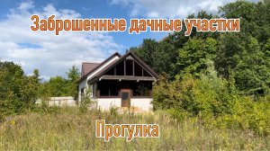 Заброшенные дачные участки. Прогулка. Урожай.