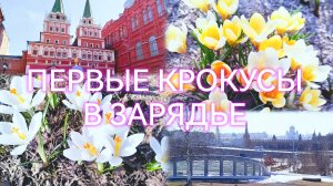 Весенняя Москва:нежные крокусы расцвели в Зарядье