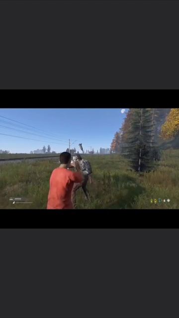 #dayz#survival#дейз#pvp#дейзи#выживание#rutube