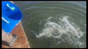 copy_825ADE8B-A26E-4C1F-AA9F-7EC26FF21AEC