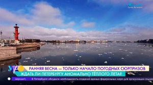 Ждать ли Петербургу аномально тёплого лета?