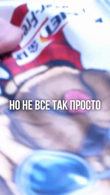 Новинка на выставке Apppexpo 2026 — DTF принтер без шейкера