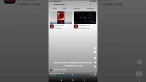 Бернариблокс биг в17