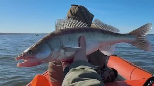 РЫБАЛКА В КАЛИНИНГРАДСКОЙ ОБЛАСТИ