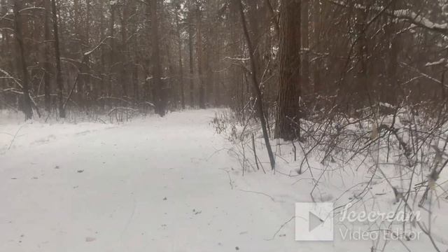 Про жизненный баланс Откуда берется энергия, куда она утекает Как создать в жизни дисциплину.