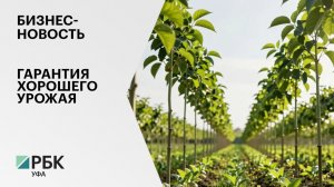 Бизнес-новость. Гарантия хорошего урожая