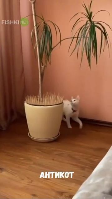 Эх, вот незадача 😁