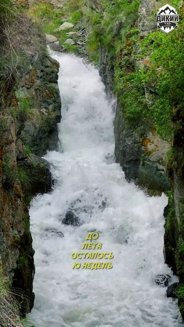 До лета- 10 недель. 🌅