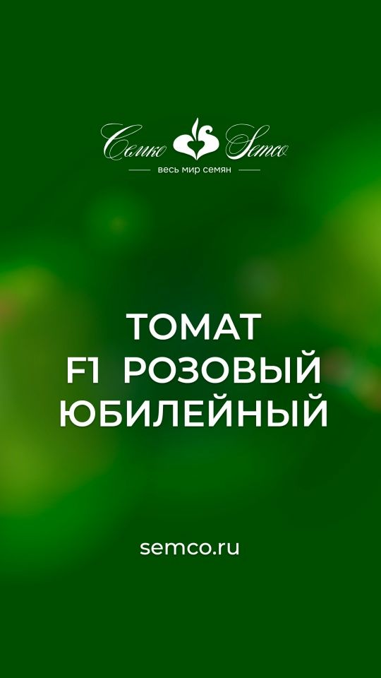 528. Томат Розовый Юбилейный