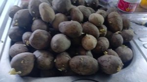 Обычный день Хронология сделанного