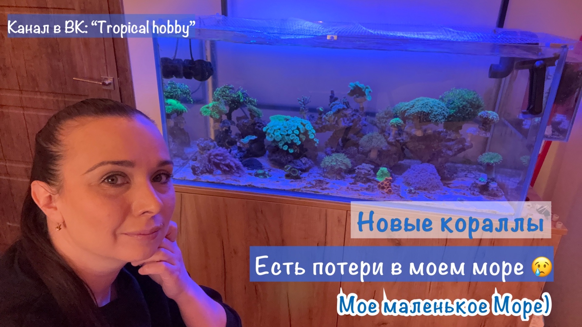 Морской аквариум. Новые кораллы🪼. Мою рыбку убили😢