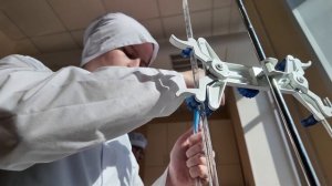 Сыры под микроскопом: исследуют продукцию от местных пород коров