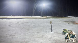 Обстановка открытой воды на лесном пруду 23.03