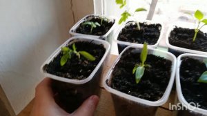 КАК БЫЛО,КАК СТАЛО.НАСТОЕНИЕ👍👍👍👍👍👍👍👍