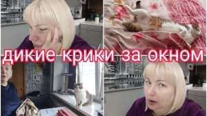 23-03-2026 Не знаю как назвать видео 🤷