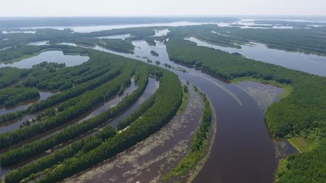 ЛОВЛЯ ЩУКИ В НИЖЕГОРОДСКОЙ ОБЛАСТИ