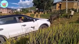 100 Real-Life Surprises Caught on Camera 😱 – You Won't Believe What Happens Next