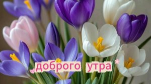 Красивые открытки с хорошими пожеланиями доброго утра 😘