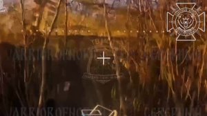 🇷🇺🇺🇦 Северное направление: освобождение Потаповки и продвижение на Харьковском участке