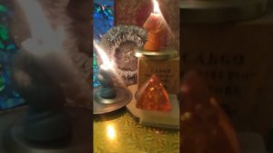 ПРОСТО ПОМНИ ✨ A M E N O ✨