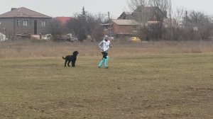 Шерхан послушание IGP3, 94б., Ростов-на-Дону, 21.03.26