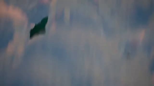 УДИВИТЕЛЬНЫЙ ЦИФРОВОЙ ЦИРК - ПЕСНЯ КЕЙНА