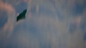 УДИВИТЕЛЬНЫЙ ЦИФРОВОЙ ЦИРК - ПЕСНЯ КЕЙНА