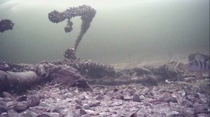 1000012086.mp4Волга гл.2м.23.03.2026г.