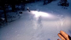 ЗМУ 2026 в НП "Онежское Поморье" . Регистрация следов кабана.