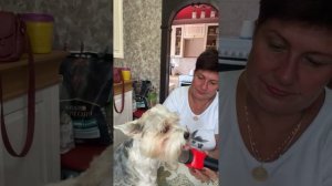 Салон грумера на дому) в прямом эфире! 🤝