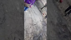 моменты с нашой прогулочки🤨😂